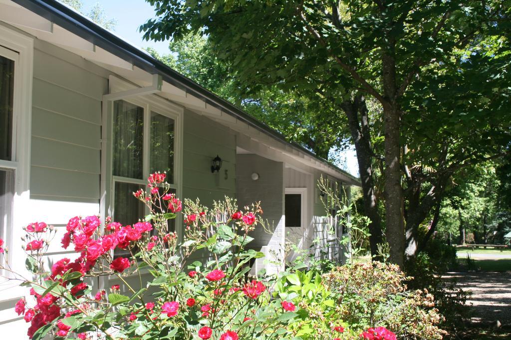 Elm Lodge Bright Exteriör bild