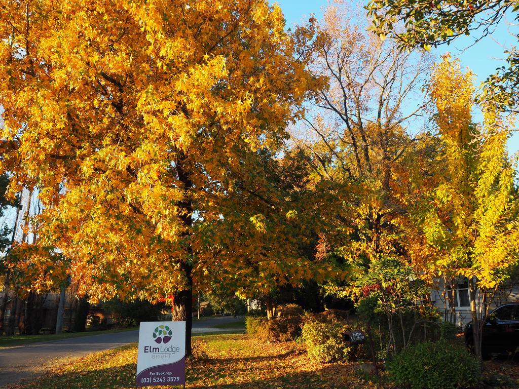 Elm Lodge Bright Exteriör bild