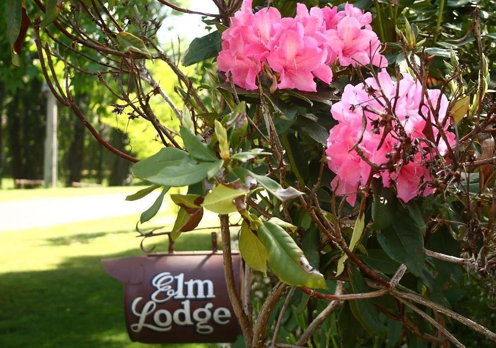 Elm Lodge Bright Exteriör bild